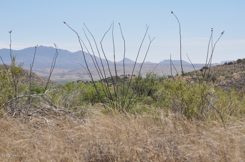 South Red Cloud Mine Road Vail, AZ 85641 - Photo 1 of 5