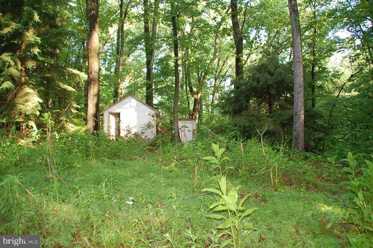 0 Indian Peg Road Boiling Springs, PA 17007 - Photo 1 of 1 Gallery Image 1