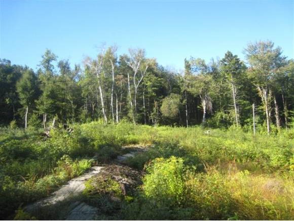 453 Streeter Hill Road Whitingham, VT 05361 - Photo 4 of 6