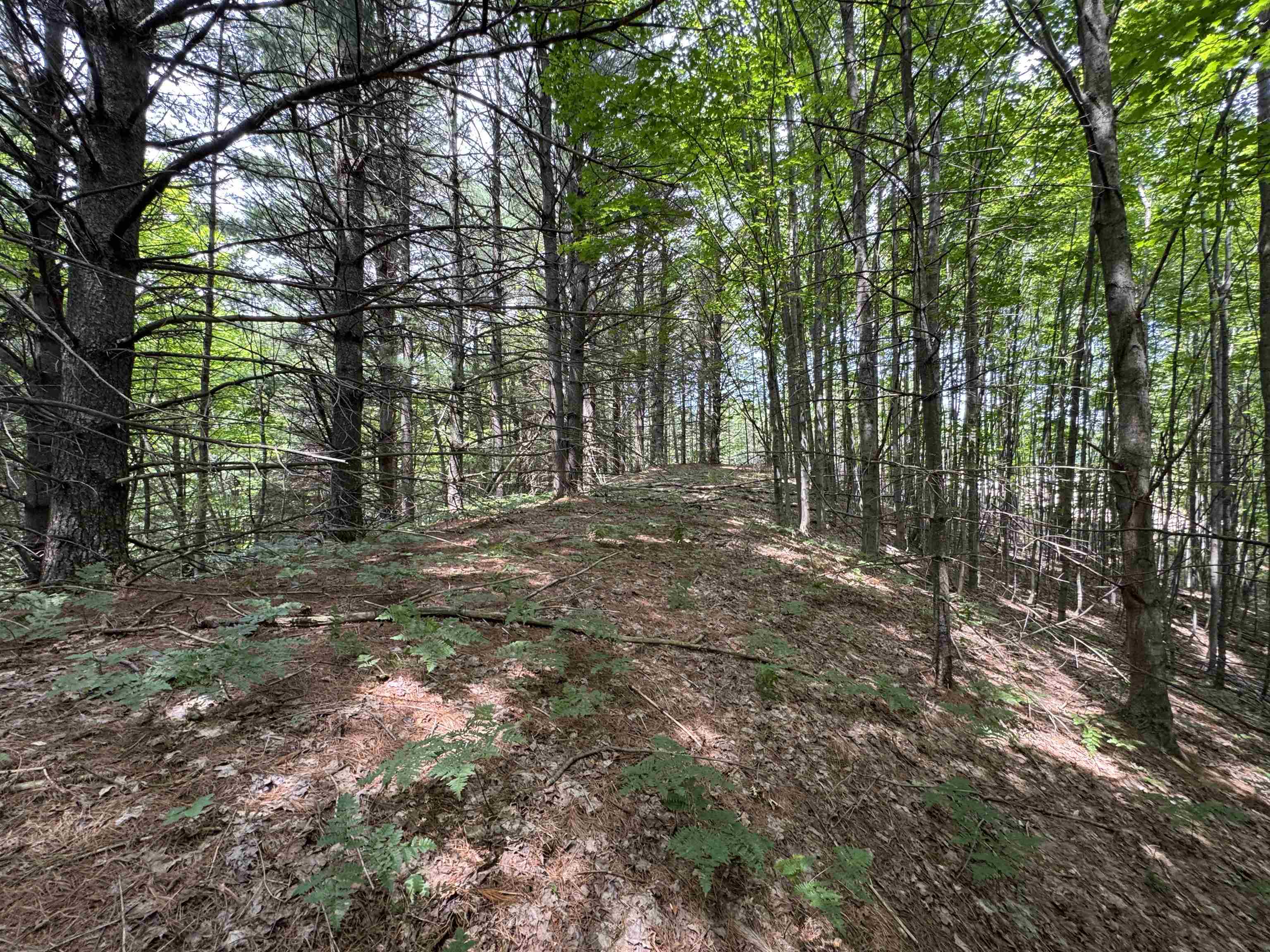 Lot #5 East Bellinger Road, Unit BELLINGER ESTATES LOT: 5 Cedar, MI 49621 - Photo 16 of 20