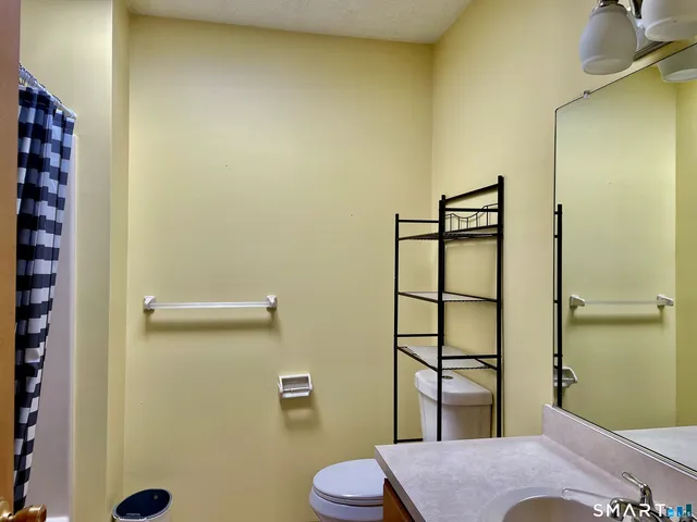 a bathroom with a sink and toilet