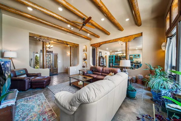 a living room with furniture and a potted plant