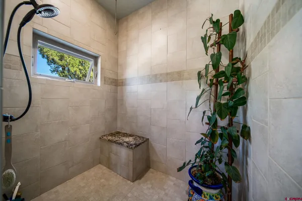 closeup of a potted plant