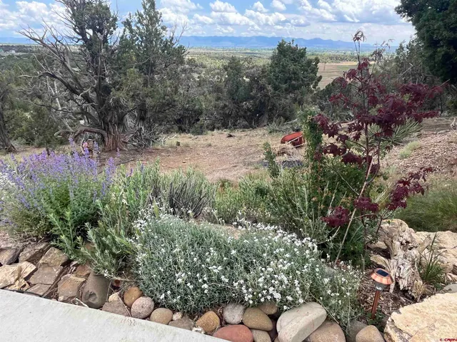 a view of a bench in a garden