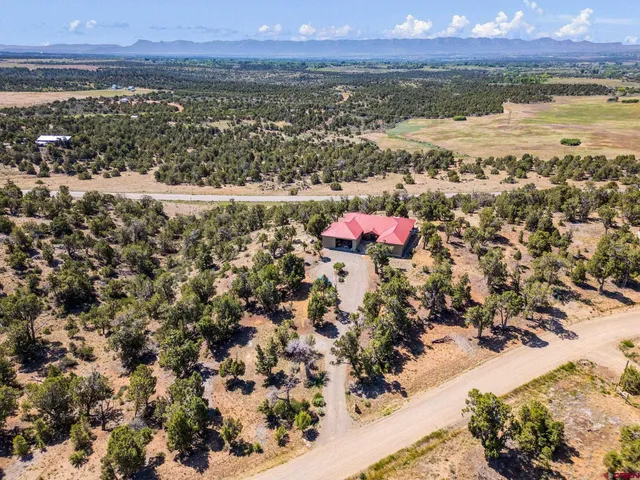 a view of city and ocean