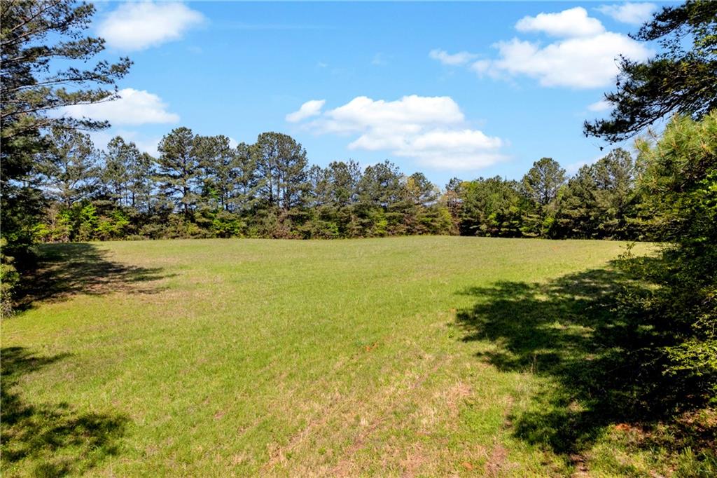 1025 Rocky Plains Road Covington, GA 30016 - Photo 13 of 17