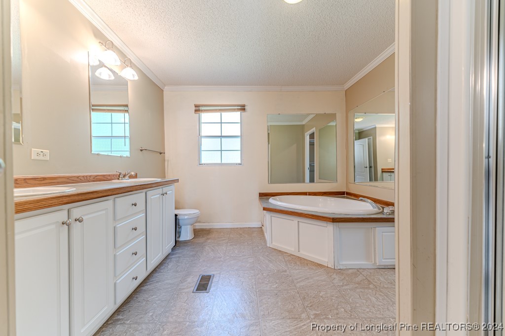130 Box Elder Terrace Cameron, NC 28326 - Photo 24 of 43 a bathroom with a double vanity sink a toilet and a mirror