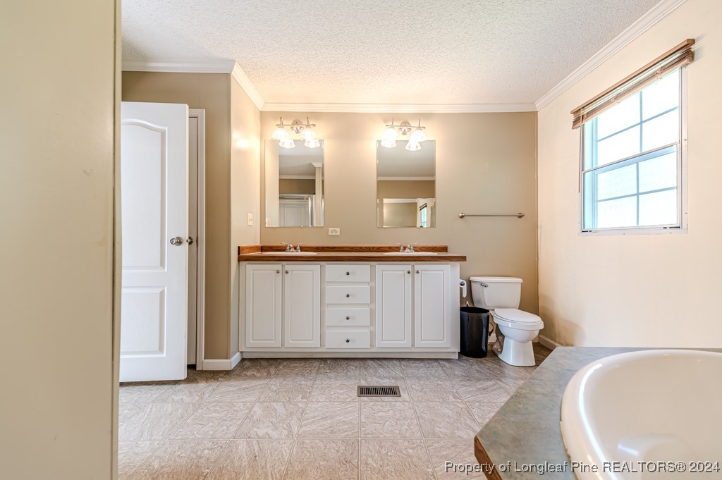 130 Box Elder Terrace Cameron, NC 28326 - Photo 25 of 43 a bathroom with a granite countertop sink mirror vanity and a toilet