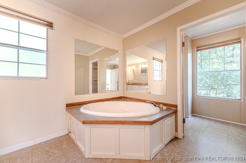 130 Box Elder Terrace Cameron, NC 28326 - Photo 26 of 43 a bath tub sitting in a bathroom next to a window