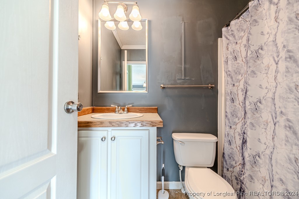 130 Box Elder Terrace Cameron, NC 28326 - Photo 32 of 43 a bathroom with a granite countertop toilet sink and mirror