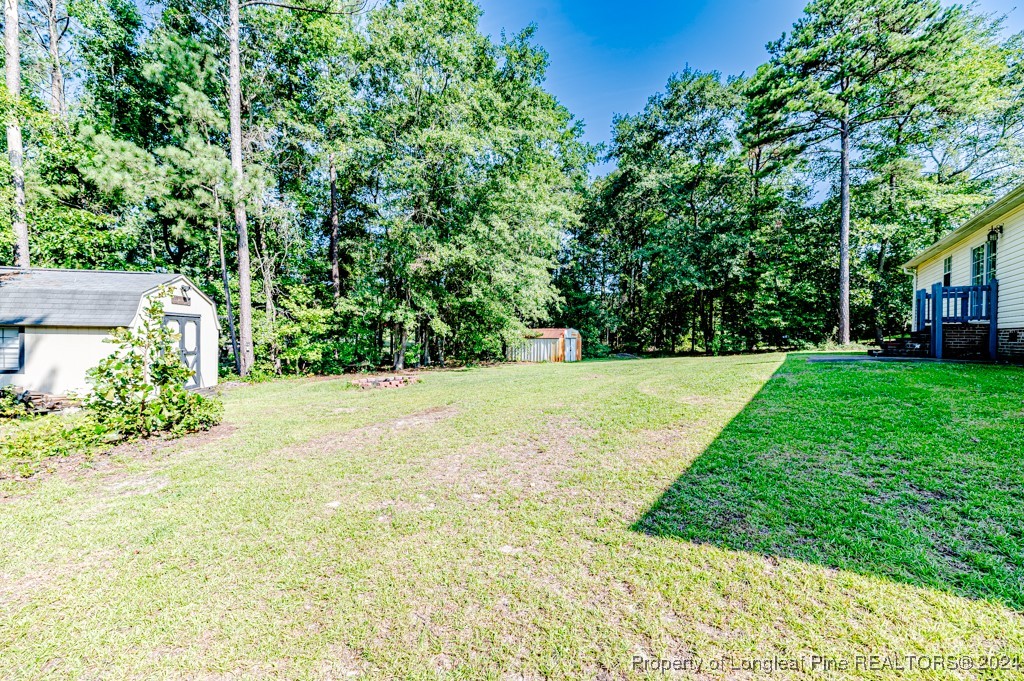 130 Box Elder Terrace Cameron, NC 28326 - Photo 37 of 43 a view of a yard with plants