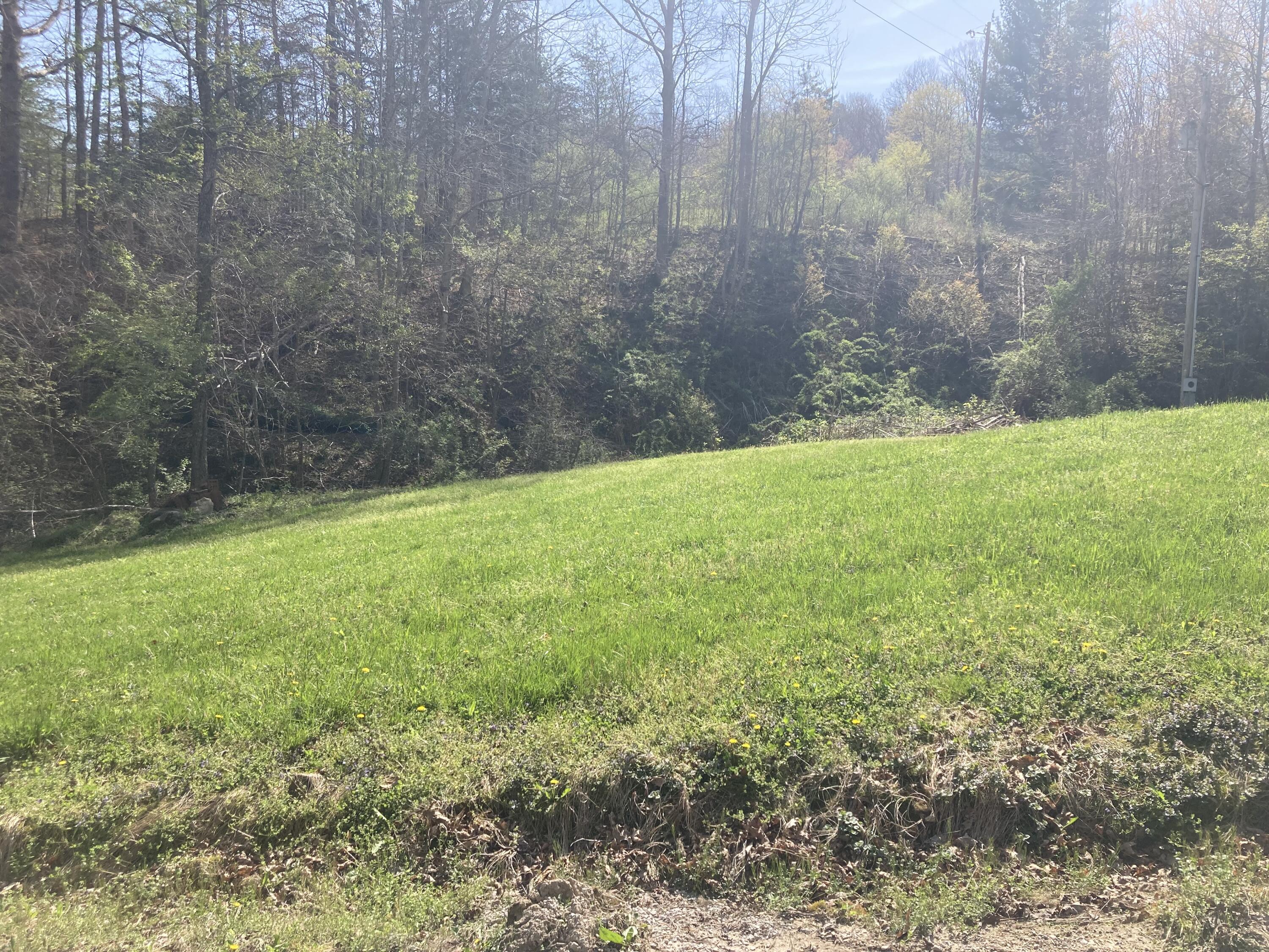 972 Walkers Branch Road Sandgap, KY 40481 - Photo 2 of 11 image_50460161