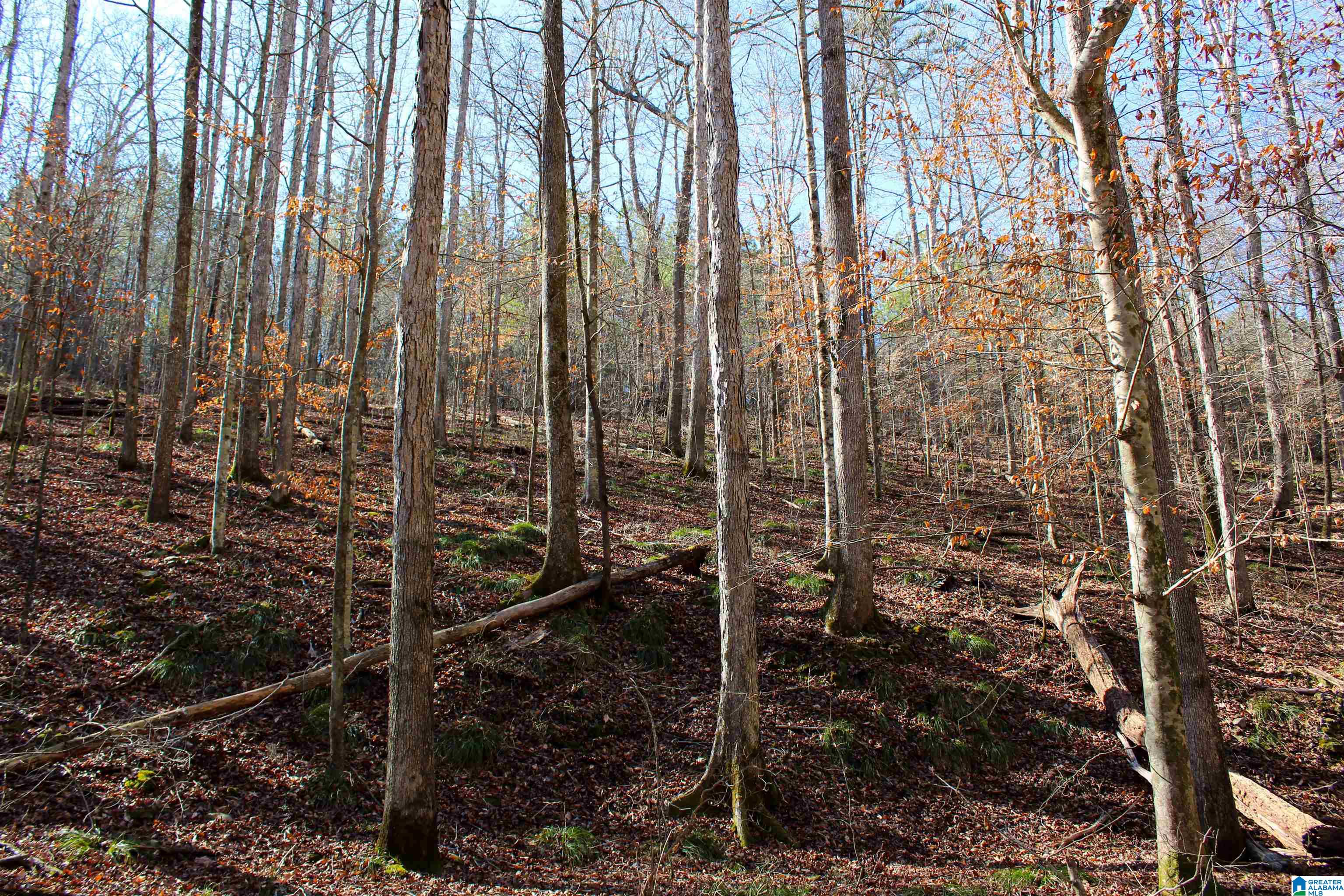 3379 County Road 80, Unit 1 Addison, AL 35540 - Photo 14 of 53