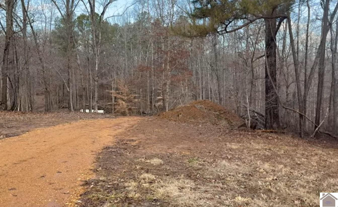 1802 Bryant Road Benton, KY 42025 - Photo 7 of 9 Photo 7