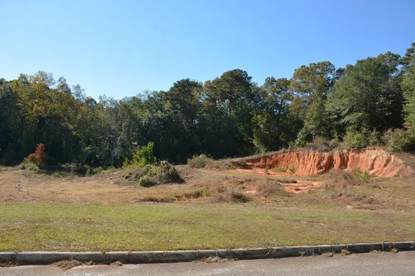 $19,900 | 1.3-ac Cedar Grove Lane, Enterprise, AL 36330