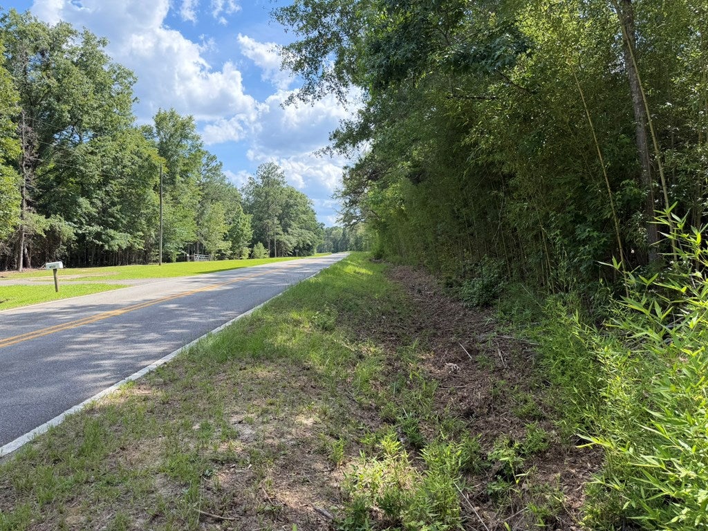 4574 Hadley Ferry Road Cairo, GA 39828 - Photo 26 of 51 Hadley Ferry Road South