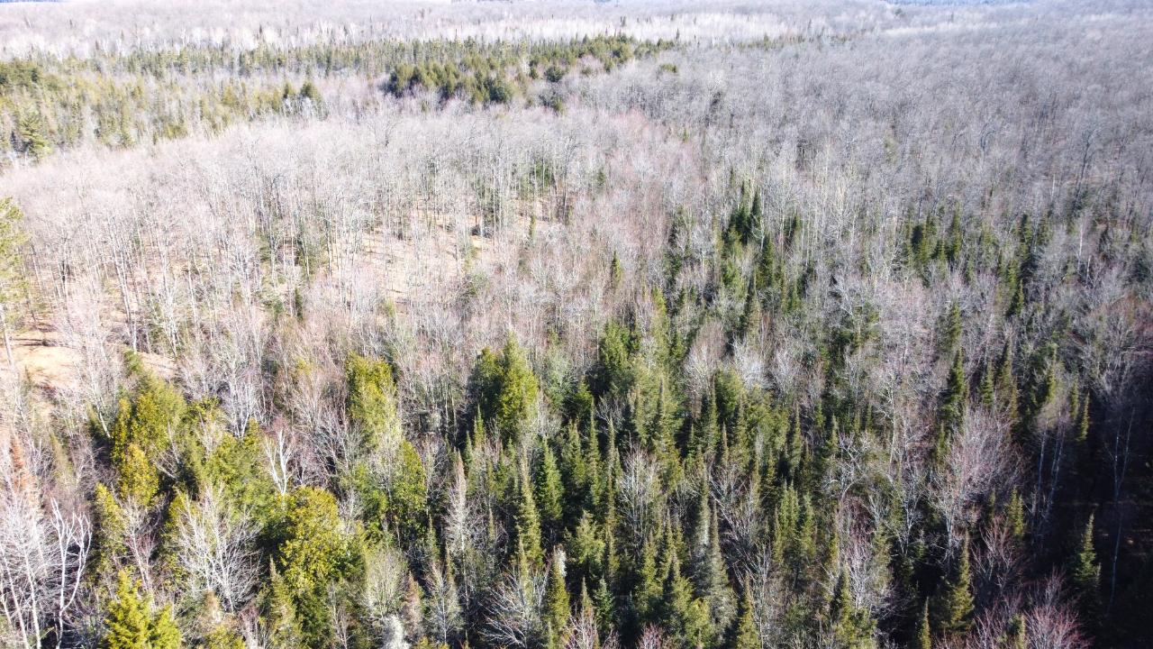 8 Old 8 Road Crandon, WI 54520 - Photo 16 of 39 Gallery Image 16