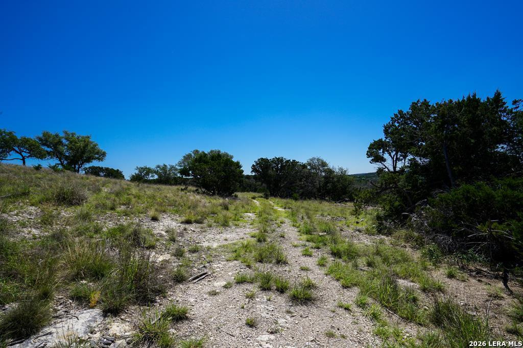 204 Wilson Rand Road Hunt, TX 78024 - Photo 4 of 46