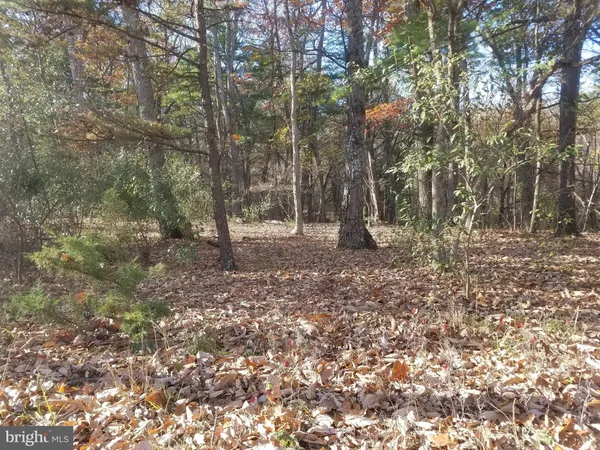 $39,900 | Turkey Hollow Road, Romney, WV 26757