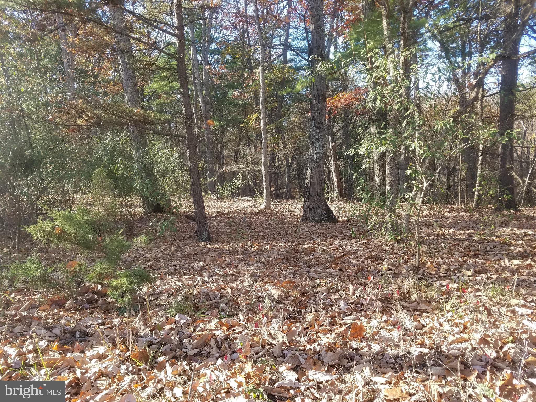 Turkey Hollow Road Romney, WV 26757 - Photo 1 of 21