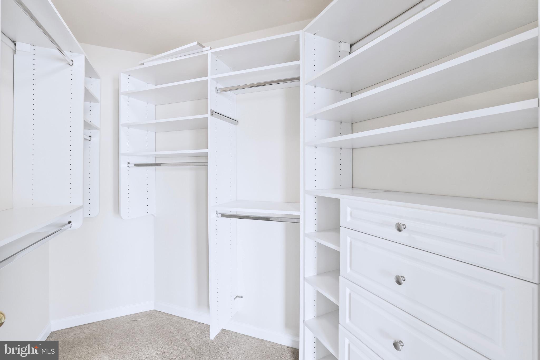 6055 Wicker Lane, Unit 128 Centreville, VA 20121 - Photo 23 of 36 a view of walk in closet with empty racks
