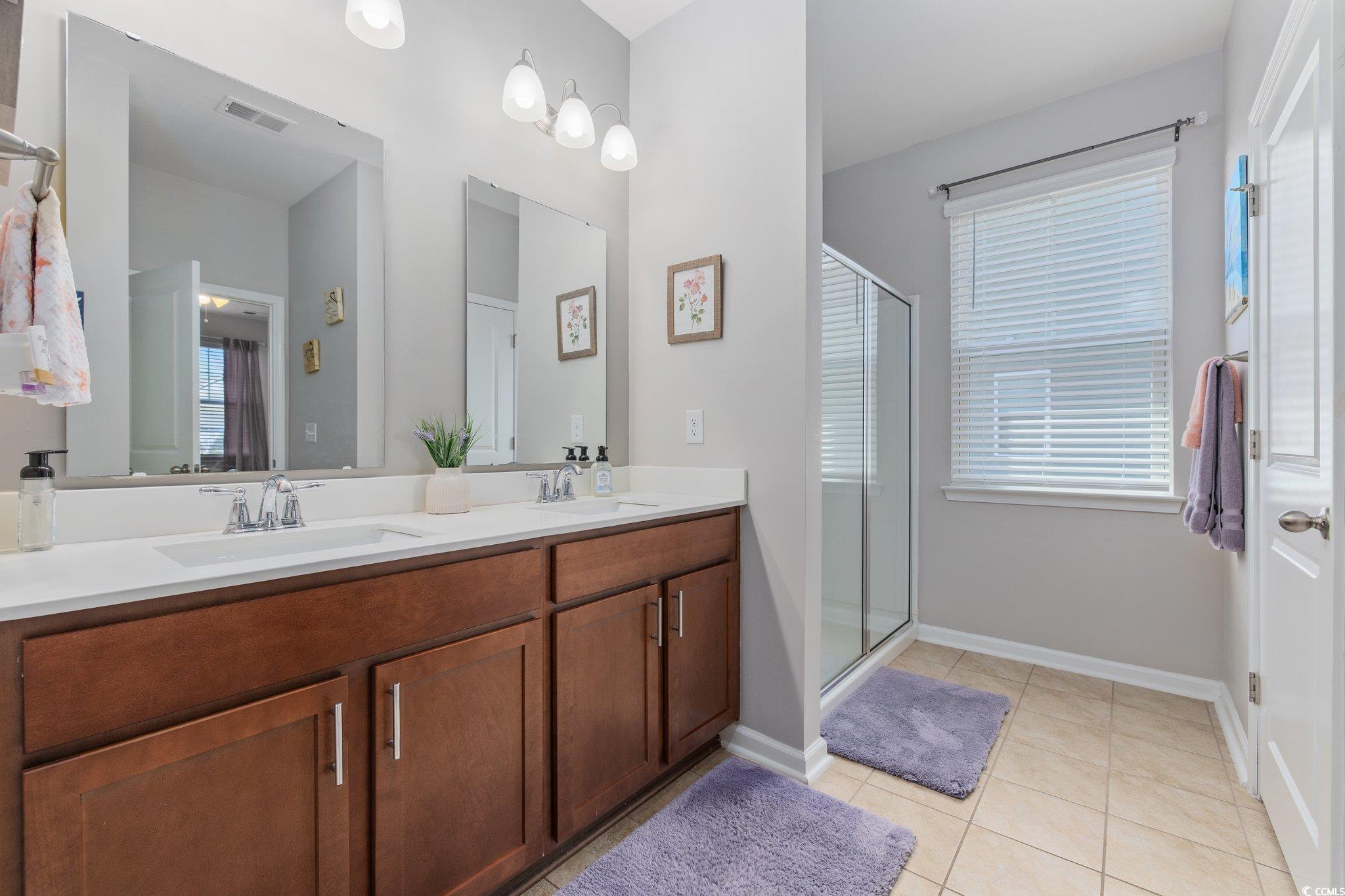 6009 Ranch View Drive Myrtle Beach, SC 29588 - Photo 18 of 40 Bathroom featuring a wealth of natural light, visible vents, a shower stall, and a sink
