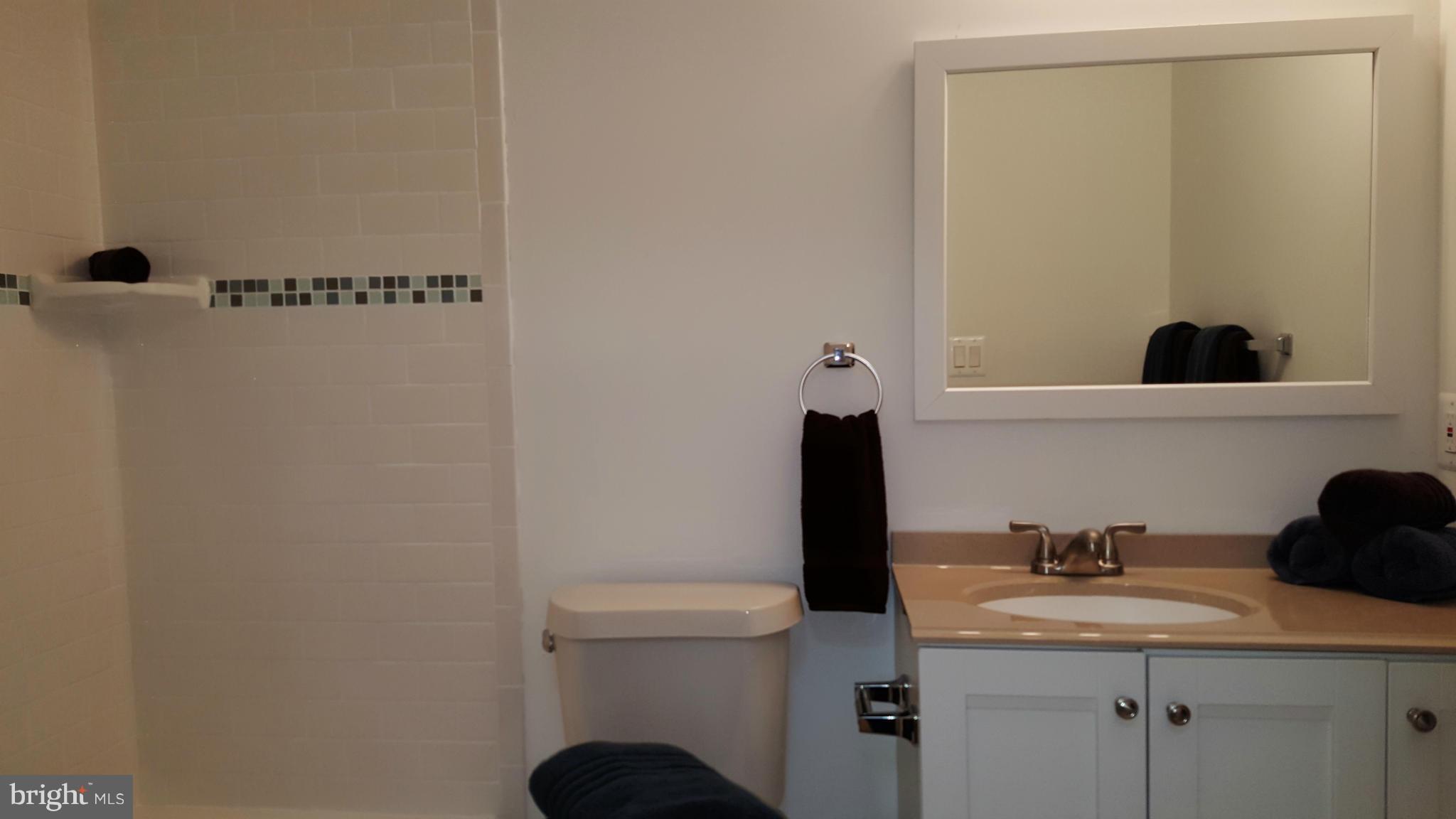 12101 Berry Street Silver Spring, MD 20902 - Photo 19 of 27 a bathroom with a sink and a toilet