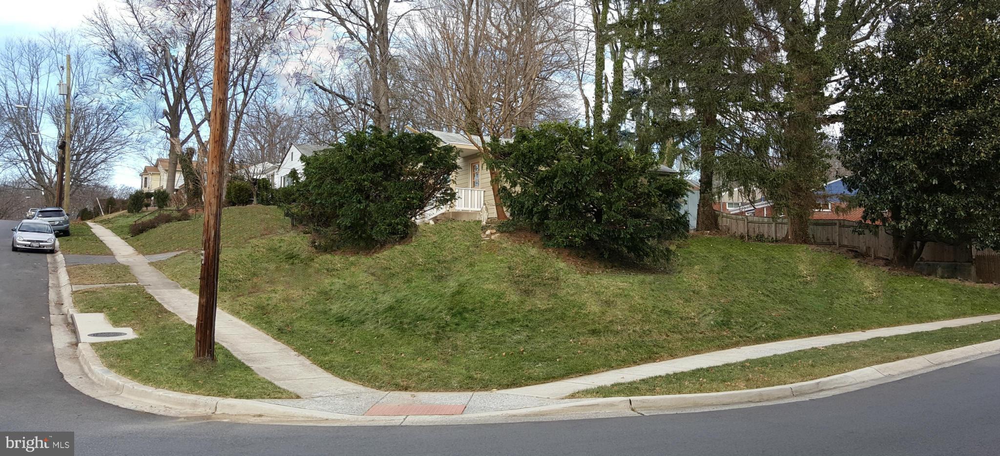 12101 Berry Street Silver Spring, MD 20902 - Photo 26 of 27 a view of a yard with large trees