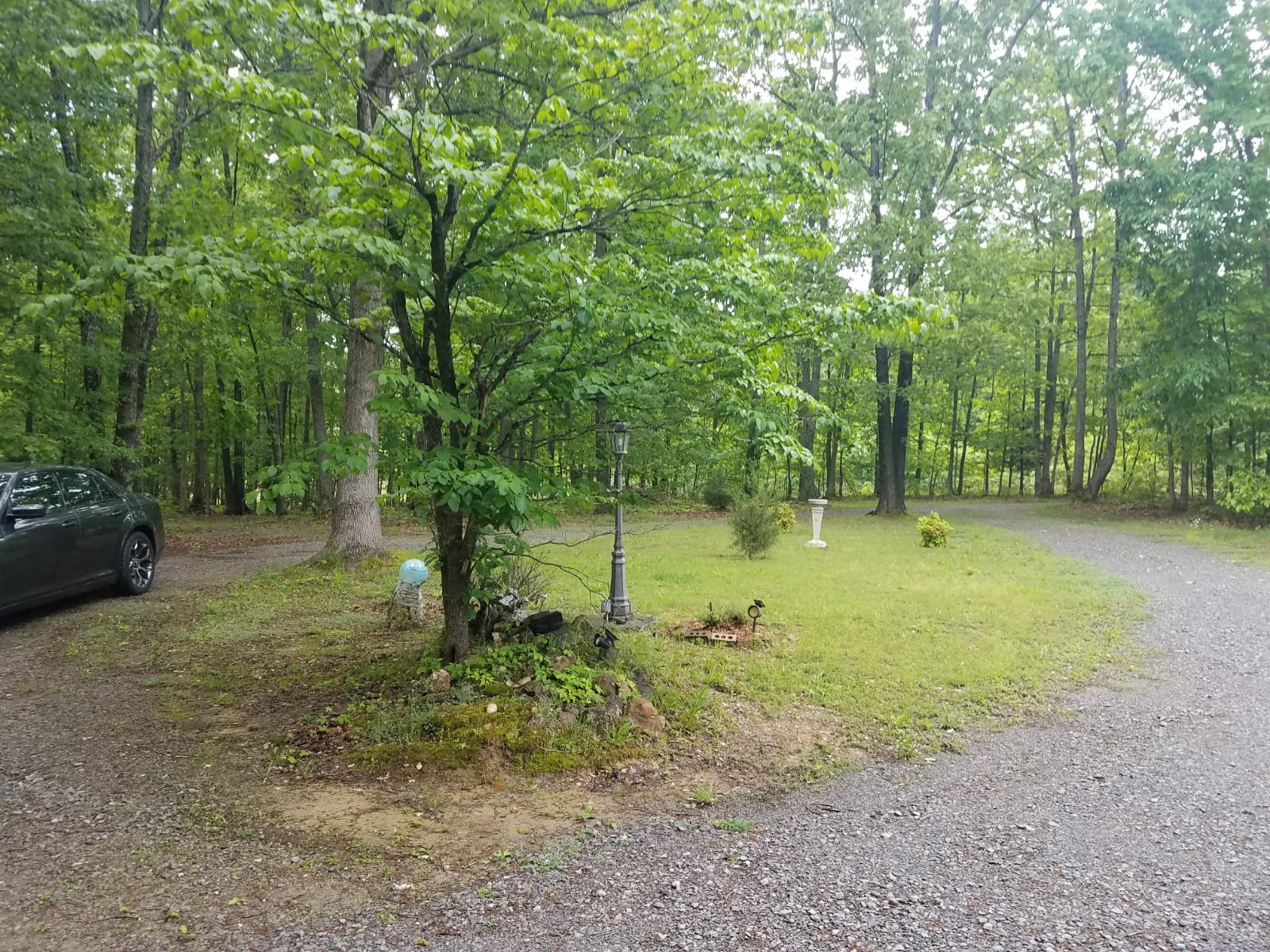 9781 Pinewood Lake Road Nunnelly, TN 37137 - Photo 17 of 25 Gallery Image 17