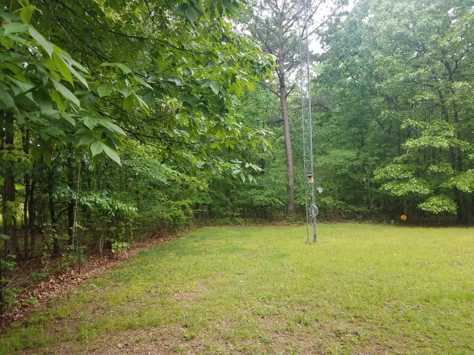 9781 Pinewood Lake Road Nunnelly, TN 37137 - Photo 18 of 25 Gallery Image 18