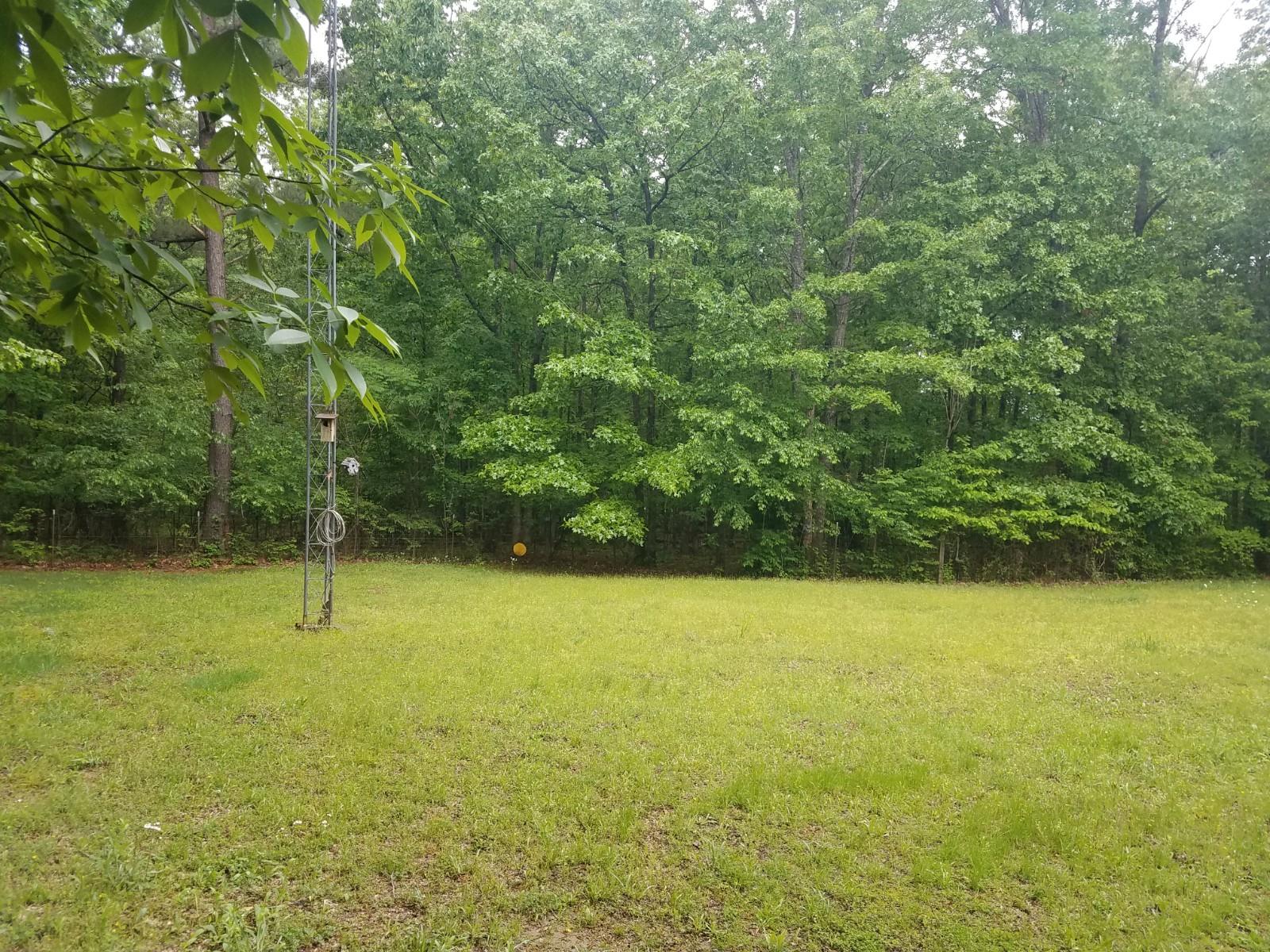 9781 Pinewood Lake Road Nunnelly, TN 37137 - Photo 19 of 25 Gallery Image 19