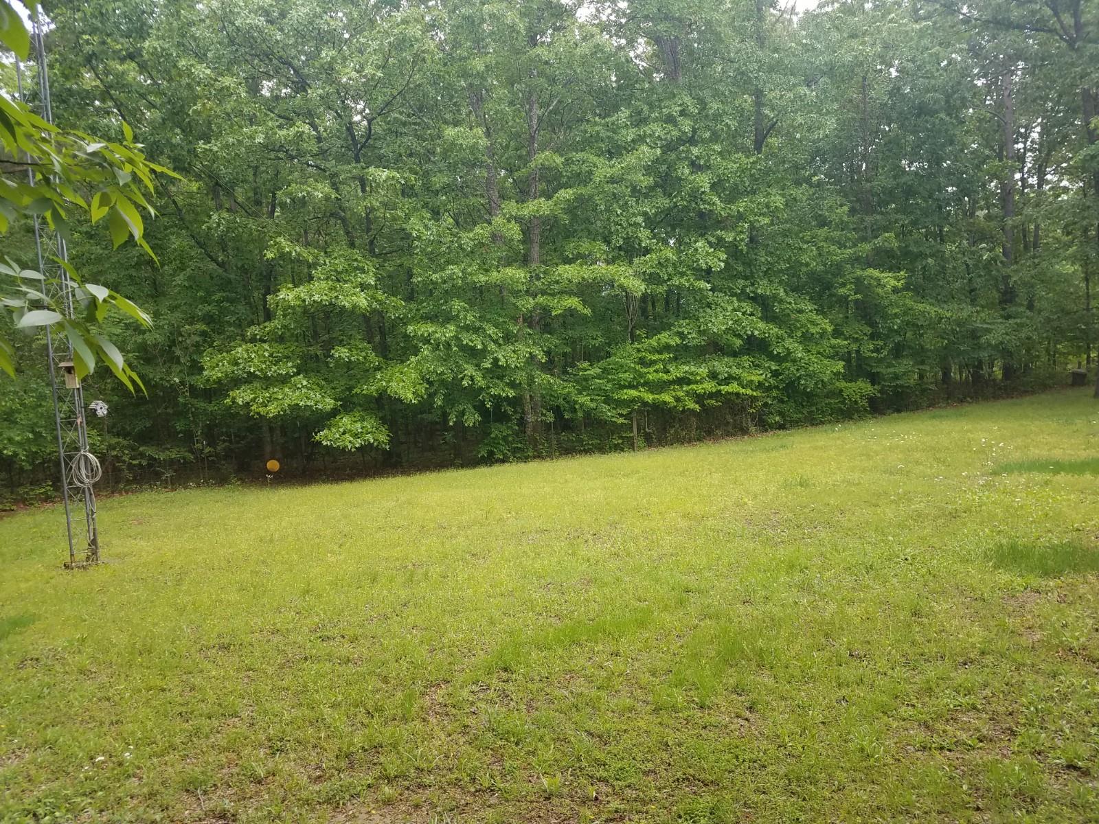 9781 Pinewood Lake Road Nunnelly, TN 37137 - Photo 20 of 25 Gallery Image 20