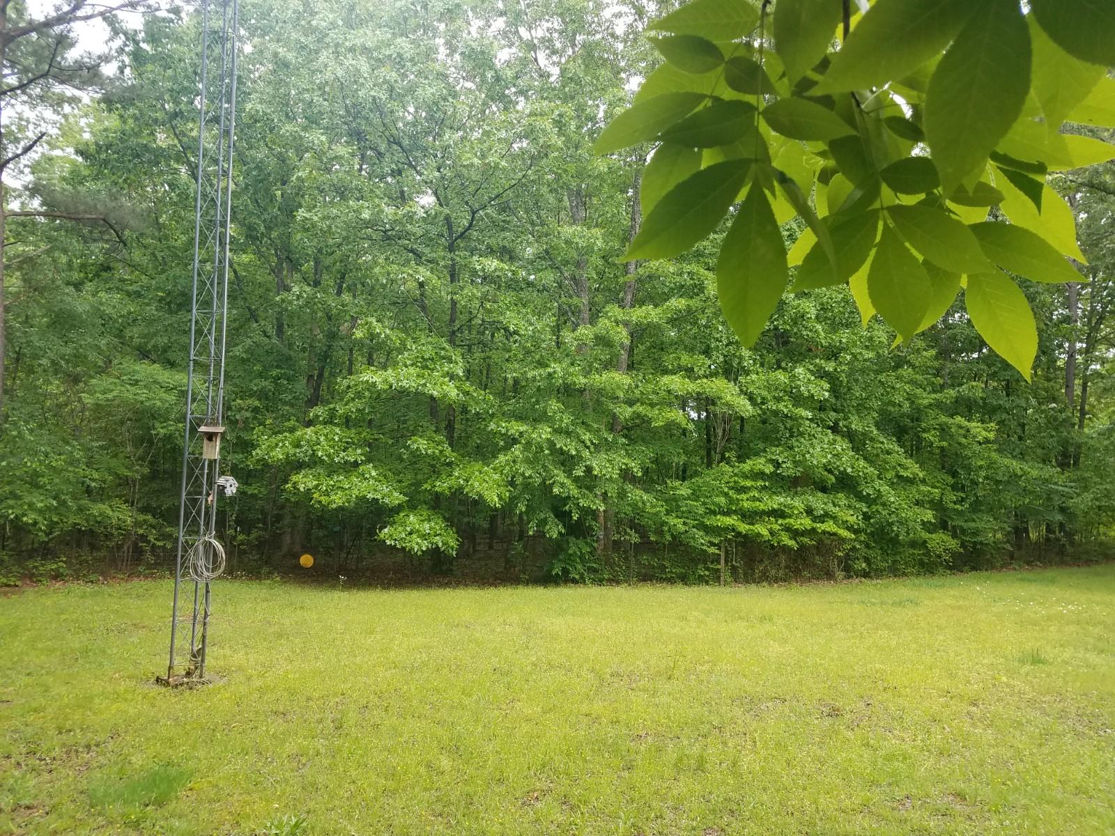 9781 Pinewood Lake Road Nunnelly, TN 37137 - Photo 22 of 25 Gallery Image 22