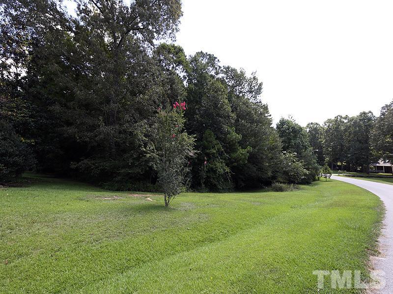 6825 Pinnacle Ridge Road Raleigh, NC 27603 - Photo 3 of 23 a view of a green yard