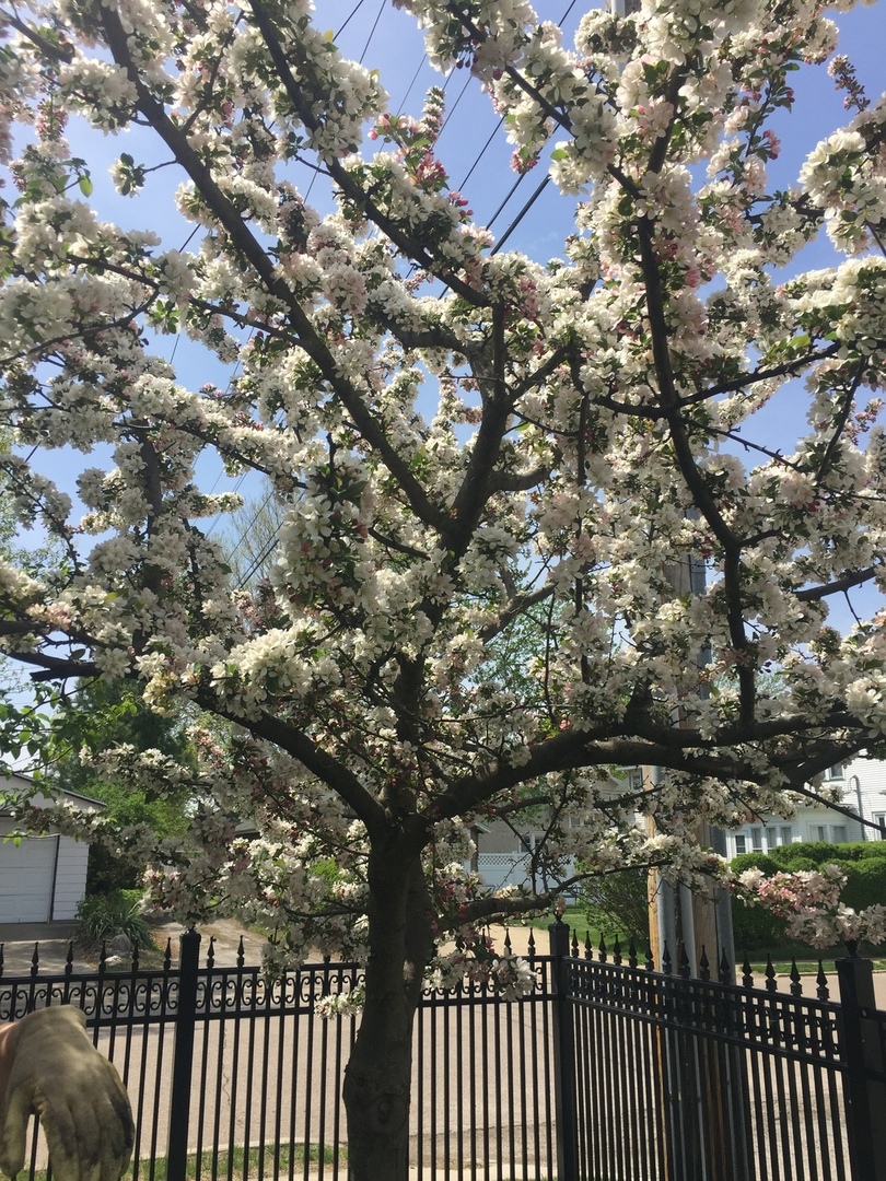 2729 4th Street Peru, IL 61354 - Photo 30 of 33