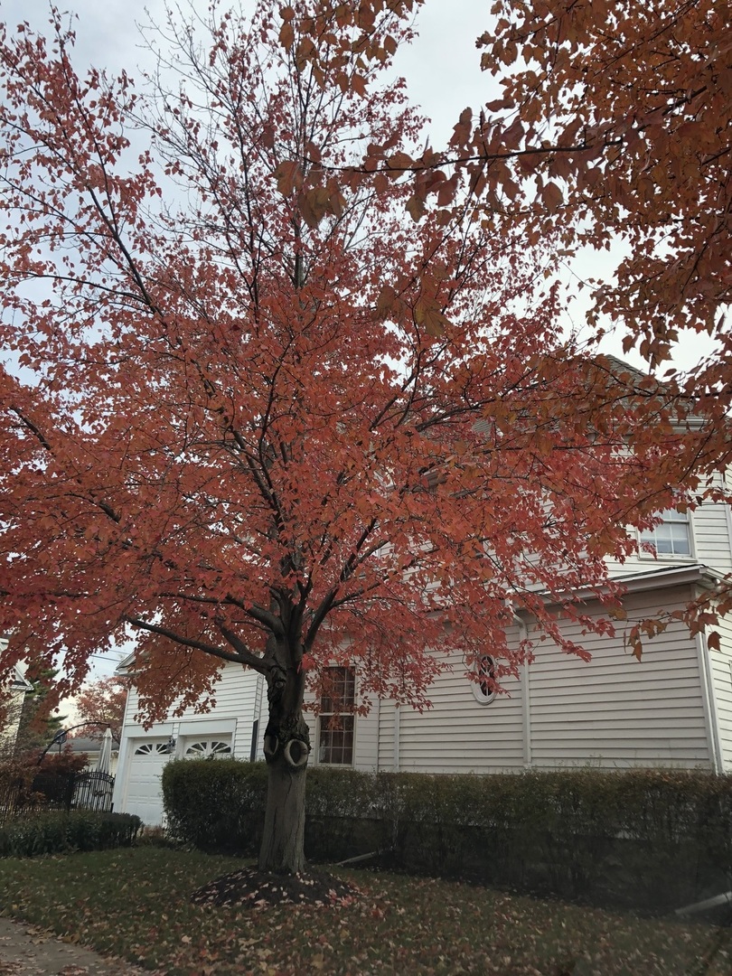 2729 4th Street Peru, IL 61354 - Photo 32 of 33