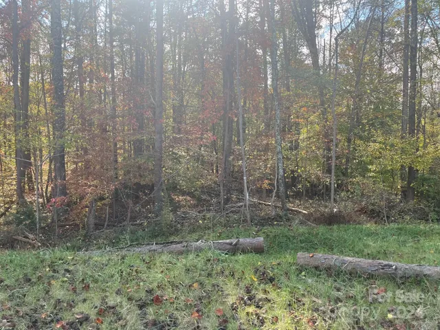 a view of a yard with trees