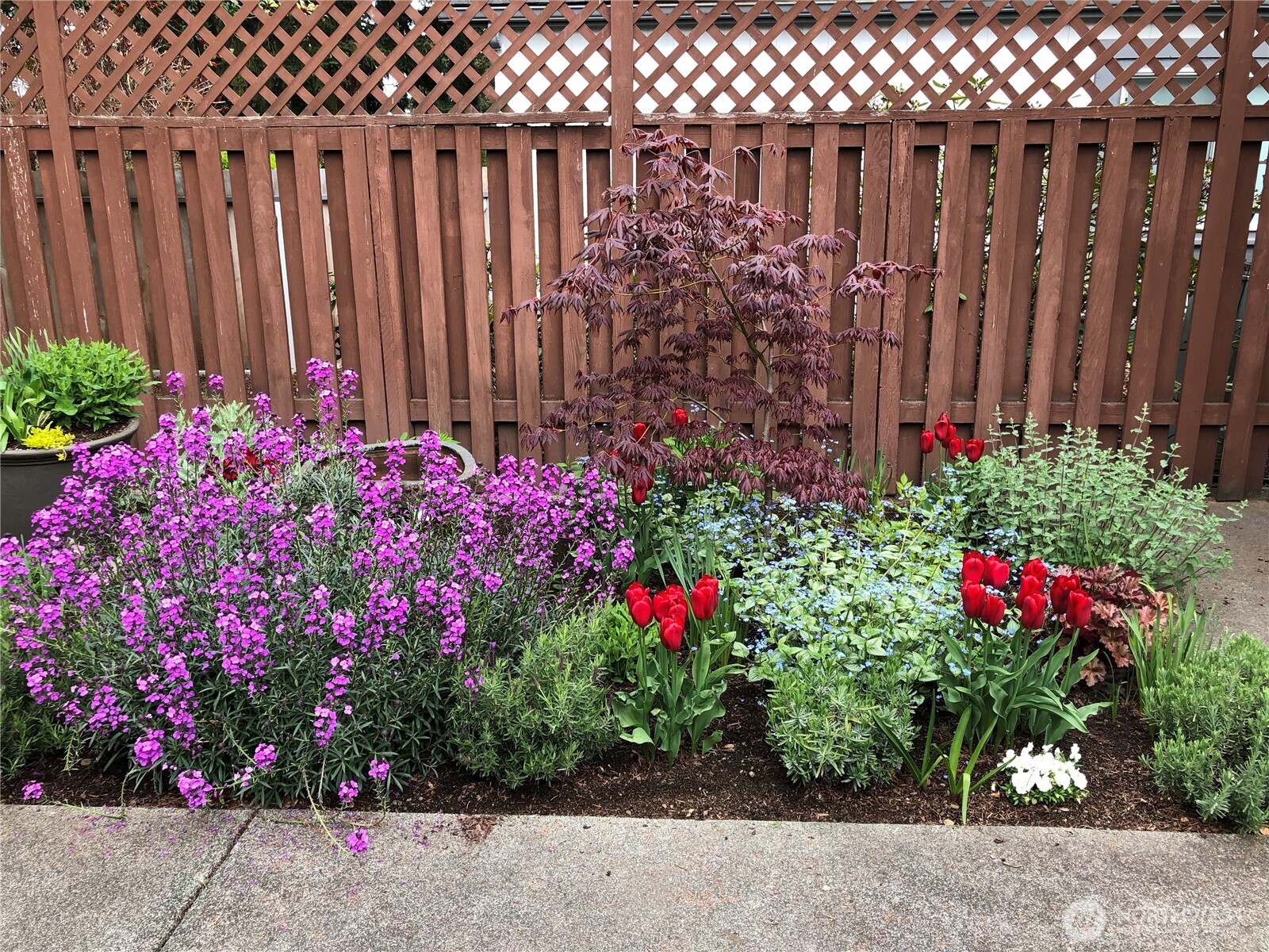 120 Fircrest Drive Sequim, WA 98382 - Photo 31 of 32 a view of a bunch of flowers