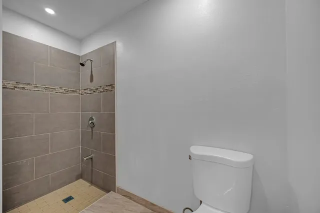 a bathroom with a shower and toilet