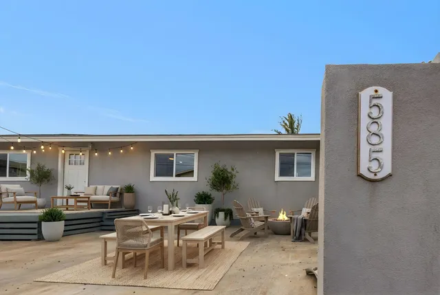 a living room with furniture a rug and a potted plant