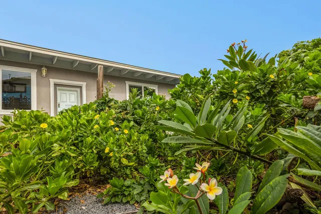 a view of a street with plants