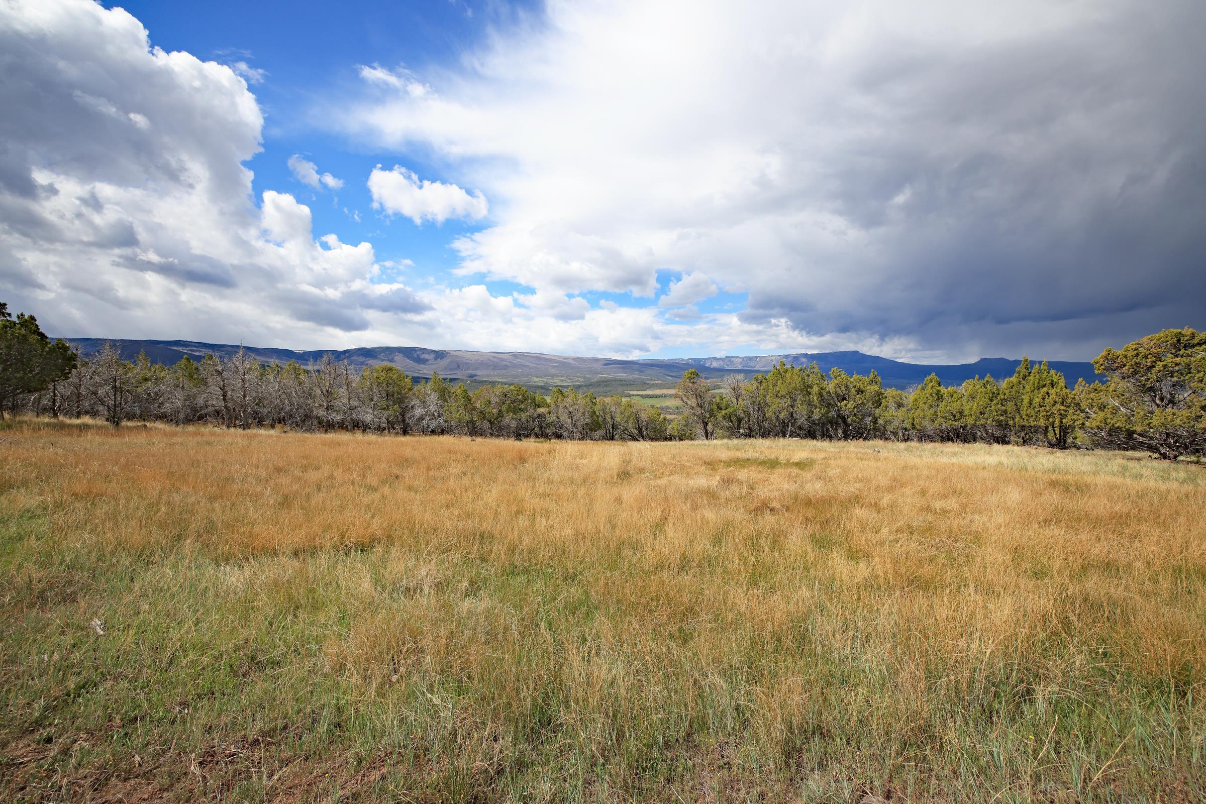 12705 55 Road Collbran, CO 81624 - Photo 14 of 31 a view of lake and mountain