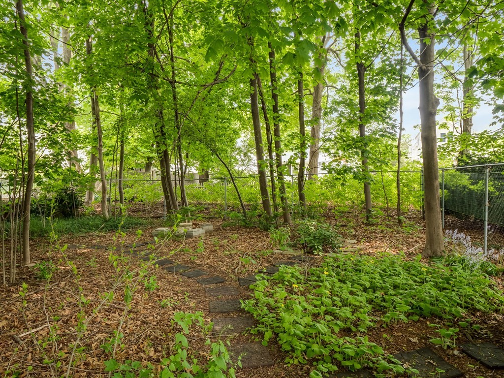 81 Baker Street Boston, MA 02132 - Photo 42 of 42 a view of outdoor space with trees