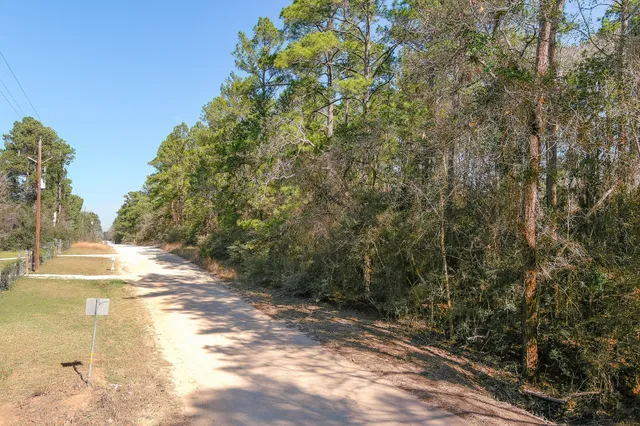 a view of a yard with plants and trees