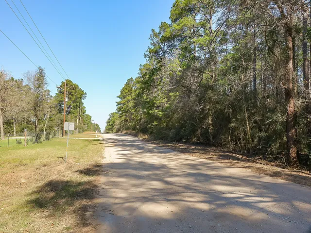 a view of yard with trees