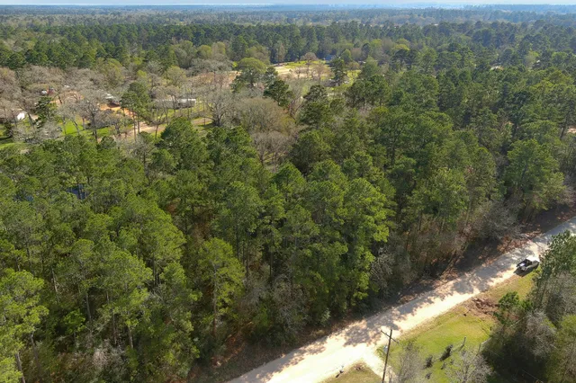 a view of a lake from a forest