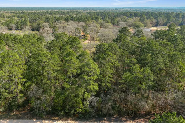 an aerial view of forest
