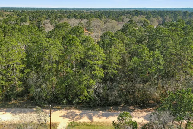 a view of a lake with trees in the background