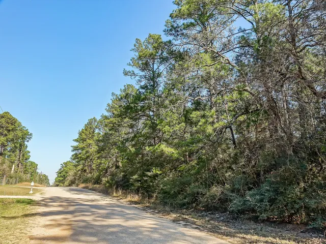 a view of a field of grass and trees