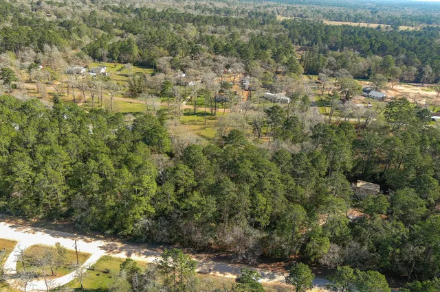 a view of a yard with plants and large trees